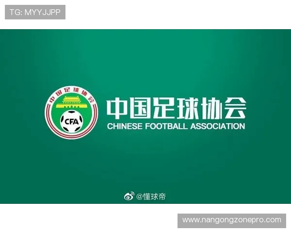 北京联赛各队详细介绍与赛季实力分析全览